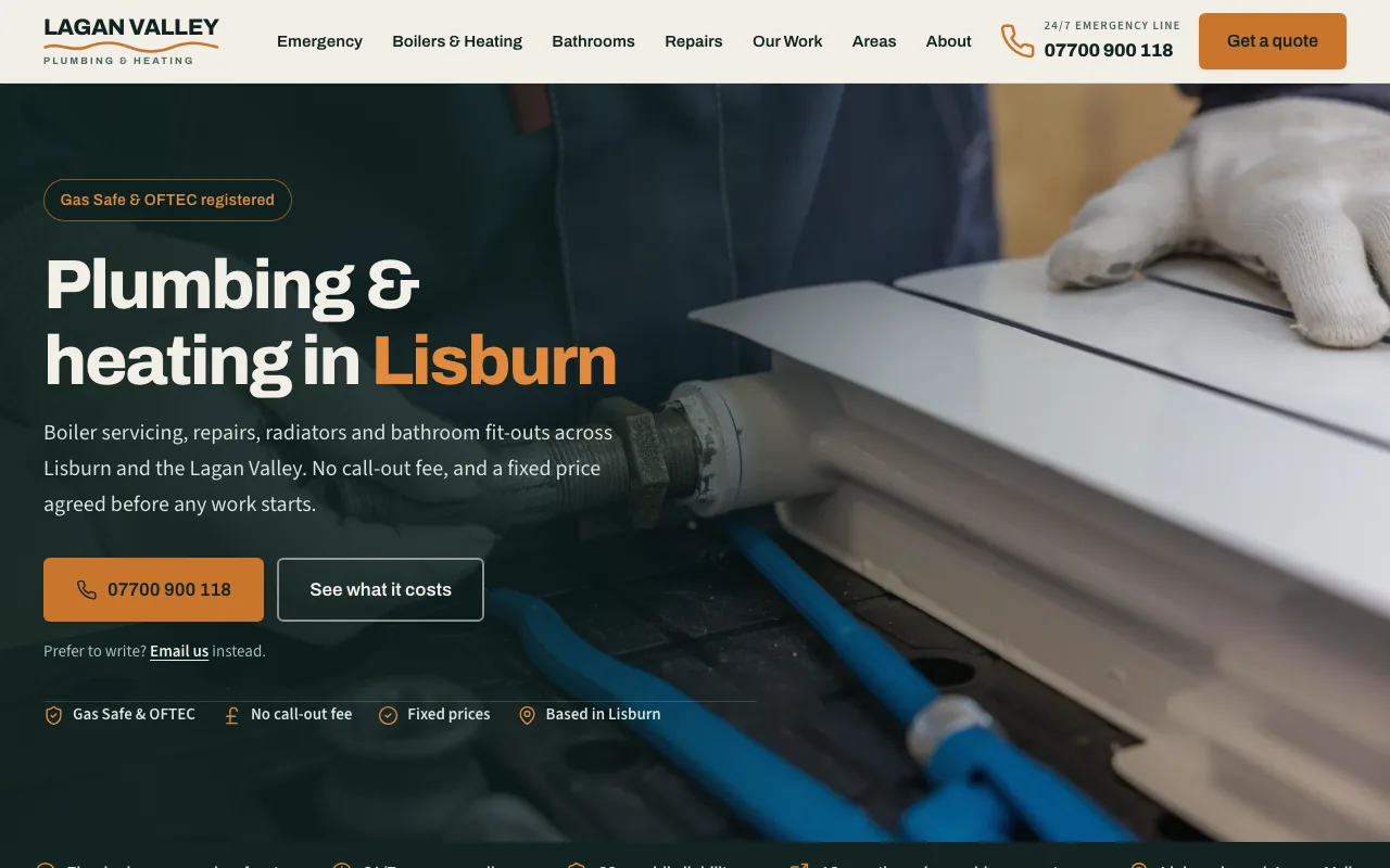 Lagan Valley Plumbing & Heating website, plumbing and heating homepage